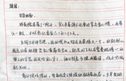 天山飞鸿（人民家书）