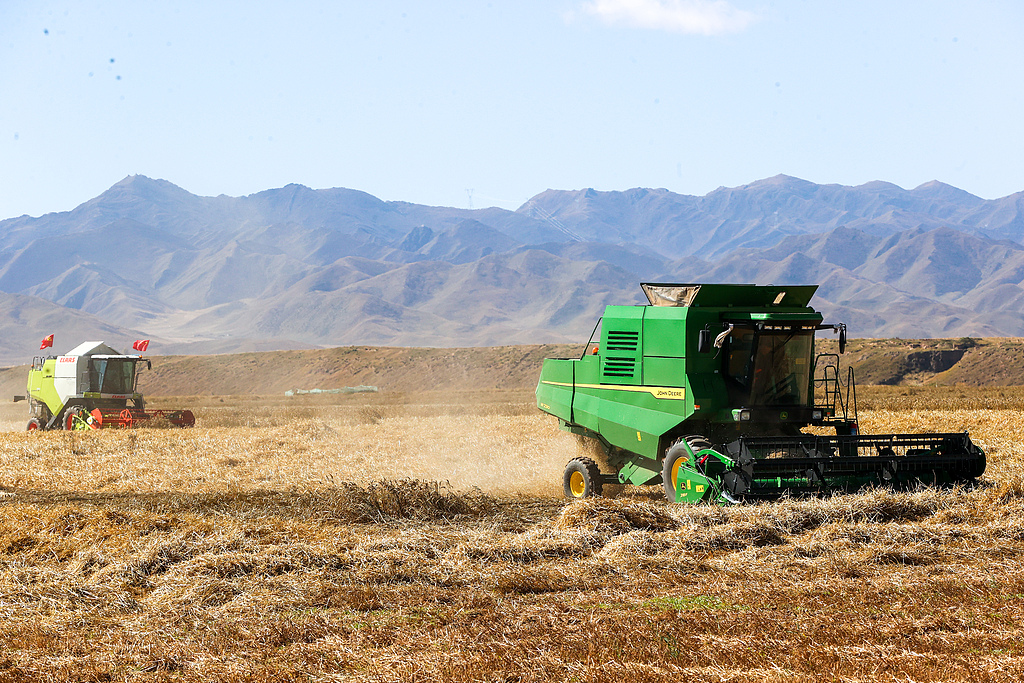 青海贵南：万亩小麦进入收割季
