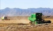 青海贵南：万亩小麦进入收割季