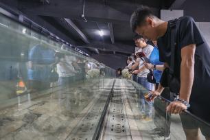 江西赣州:两岸新媒体人感受千年宋城文化魅力