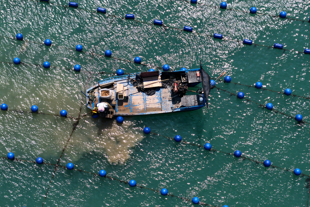 福建福州：渔民海洋牧场上进行海上作业