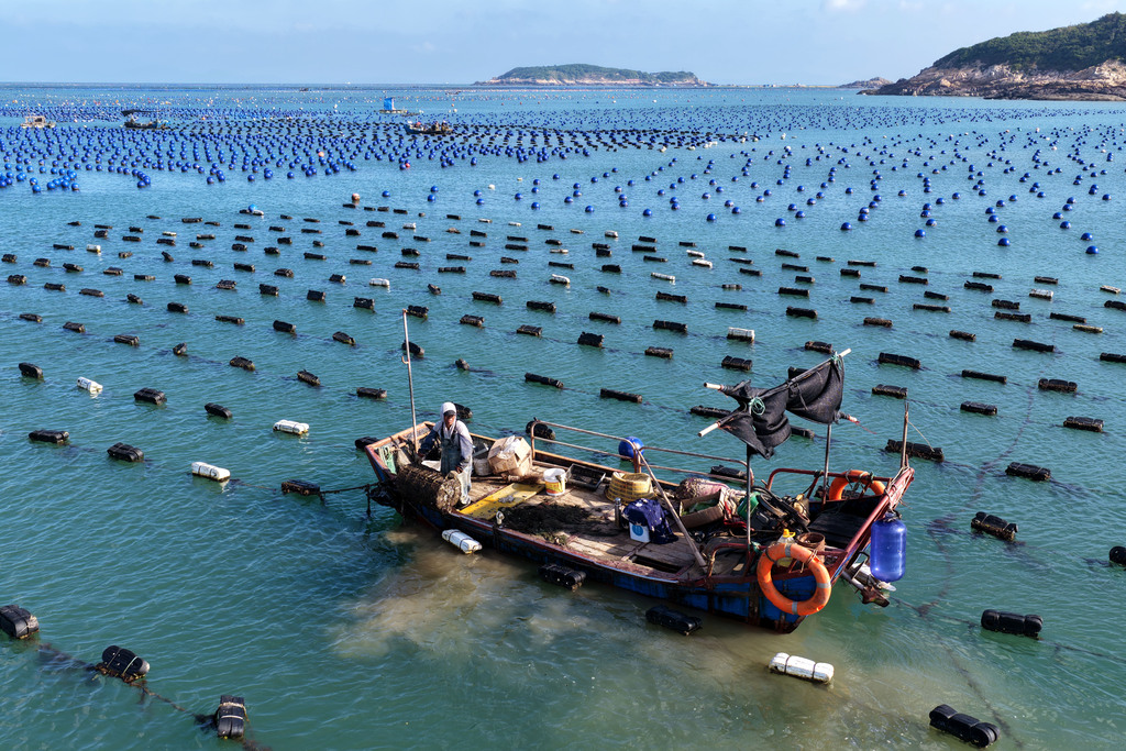 福建福州：渔民海洋牧场上进行海上作业