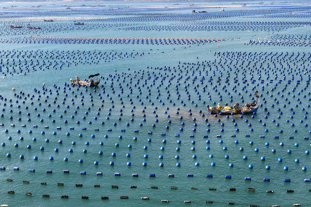 福建福州：渔民海洋牧场上进行海上作业