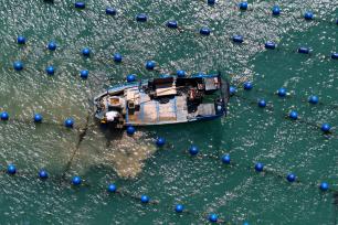 福建福州：渔民海洋牧场上进行海上作业