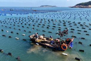 福建福州：渔民海洋牧场上进行海上作业