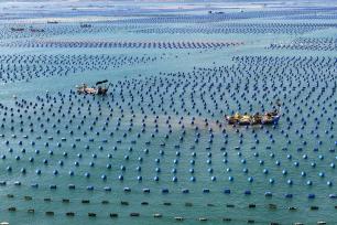 福建福州：渔民海洋牧场上进行海上作业