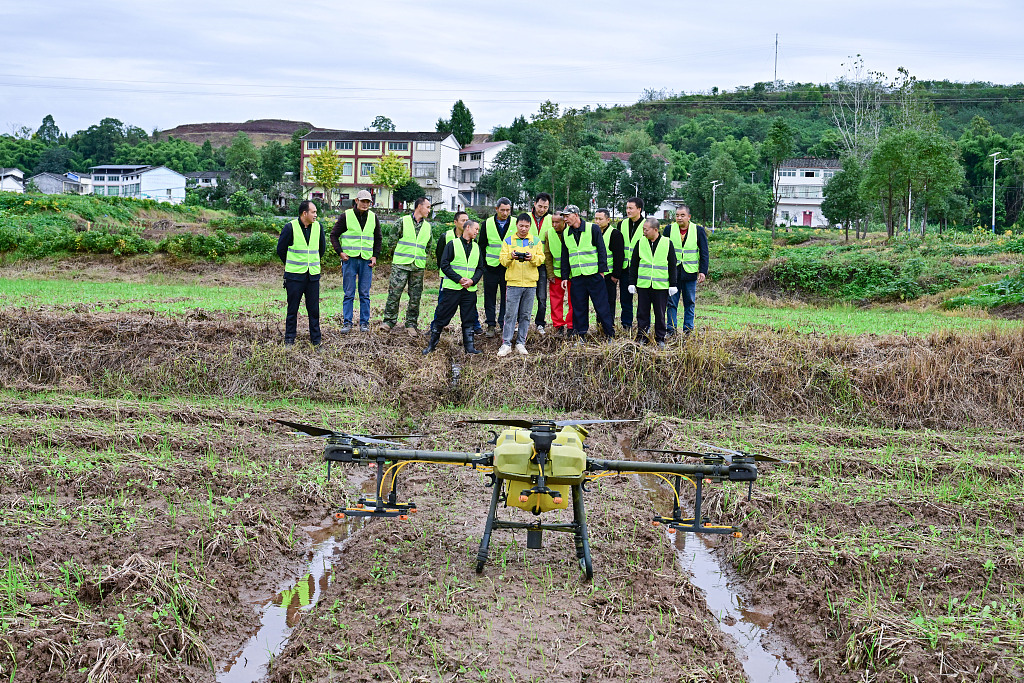 四川广安：农技人员田间进行农业技术培训