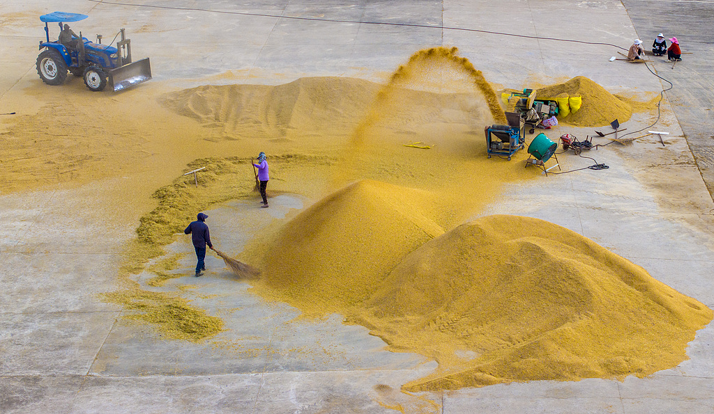 江苏宿迁：农户们在晒场扬谷