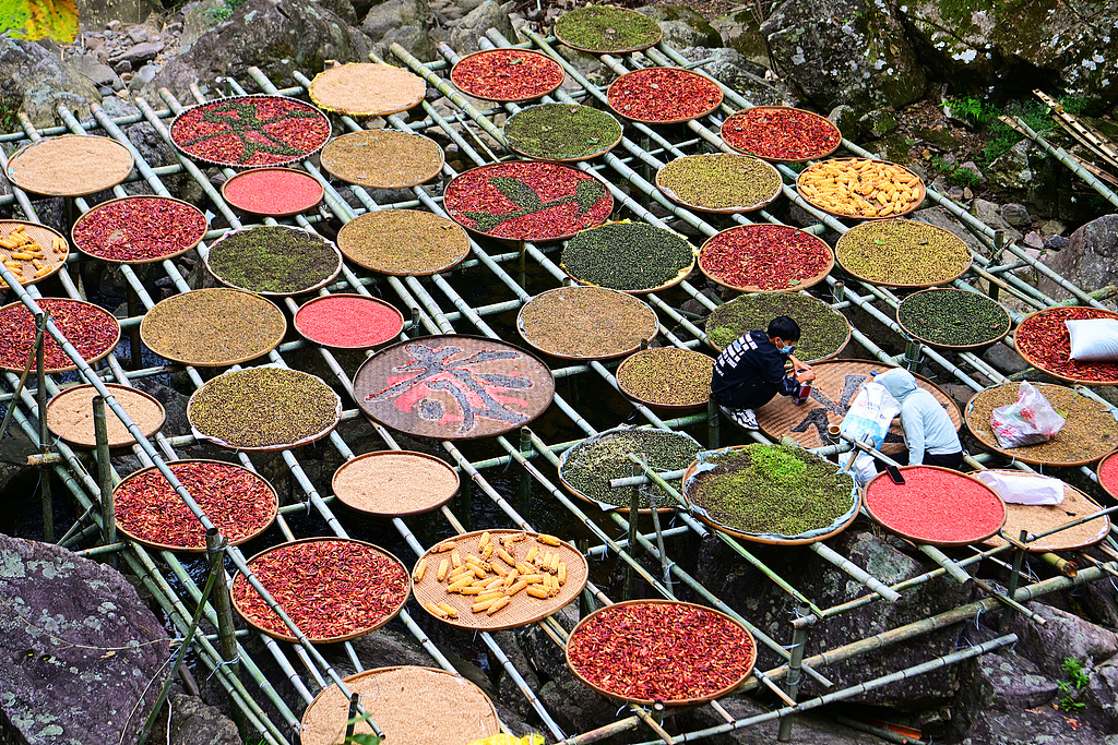 浙江宁波：农民晾晒秋粮 多彩作物绘“丰”景