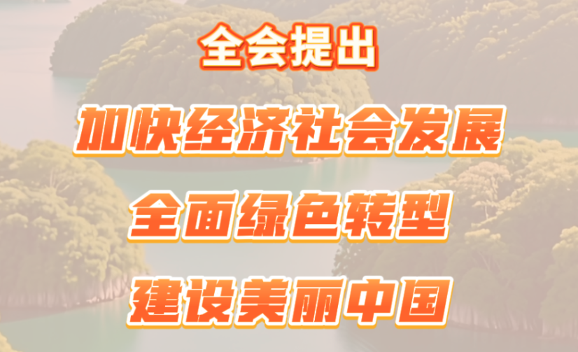 创意微视频｜问与答！在四中全会公报中看见与你相关的未来