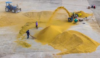 江苏宿迁：农户们在晒场扬谷