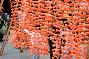 浙江宁波：农民晾晒秋粮 多彩作物绘“丰”景