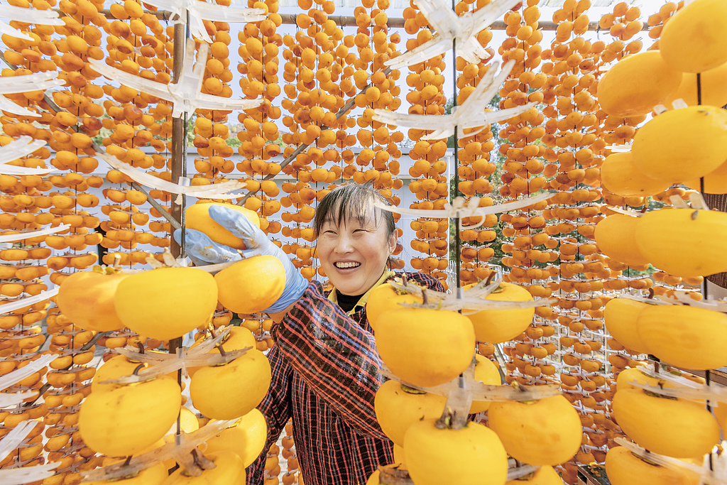 山西运城：村民忙着制作柿饼