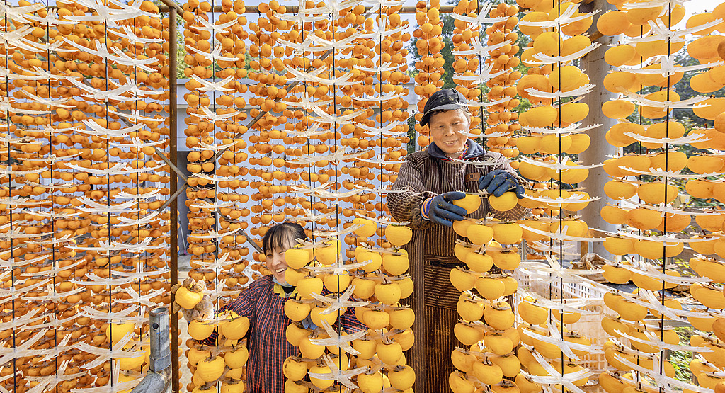 山西运城：村民忙着制作柿饼