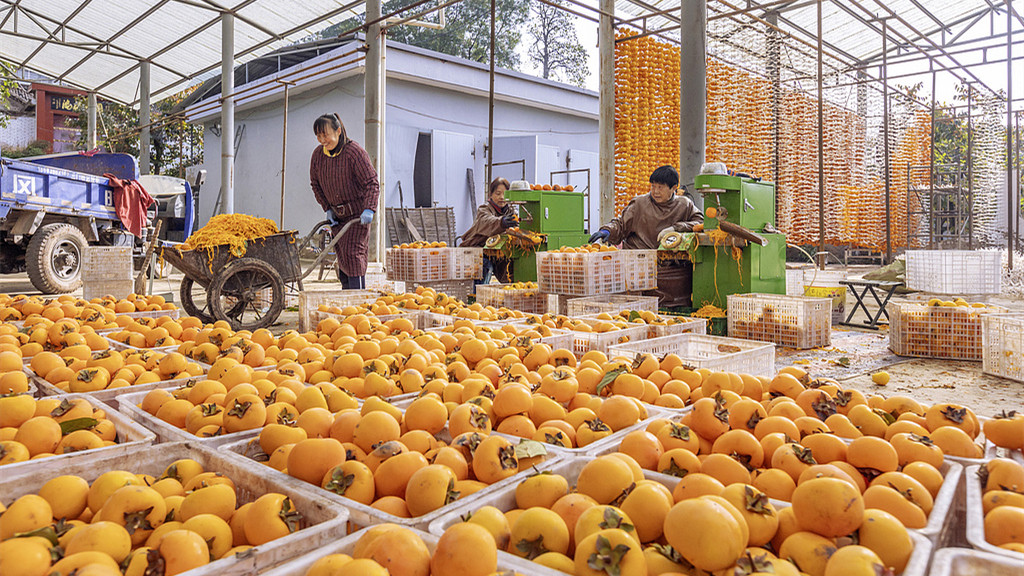 山西运城：村民忙着制作柿饼