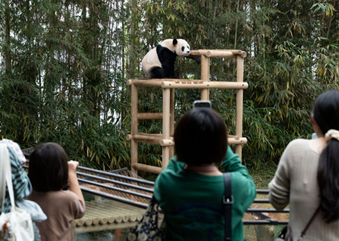 从“心”出发，共创中韩关系美好未来（大使随笔）