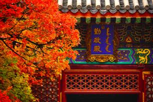 北京香山公园缤纷红叶映古建