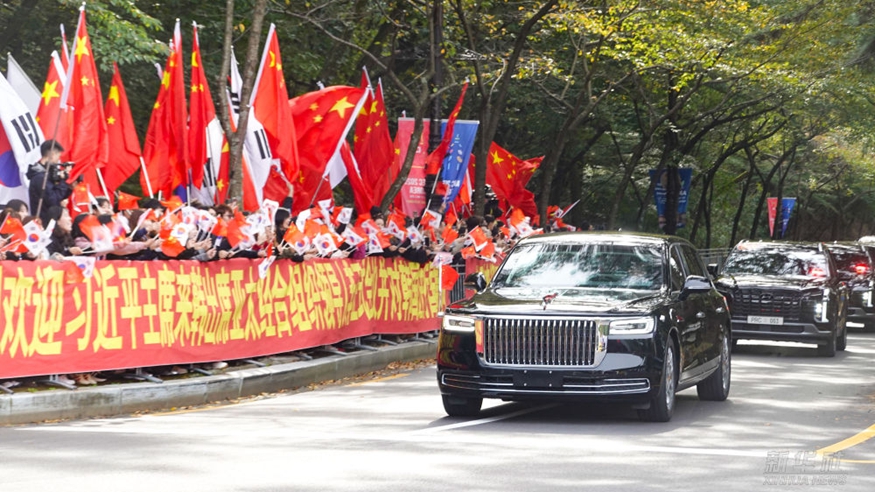 习近平抵达韩国受到热烈欢迎