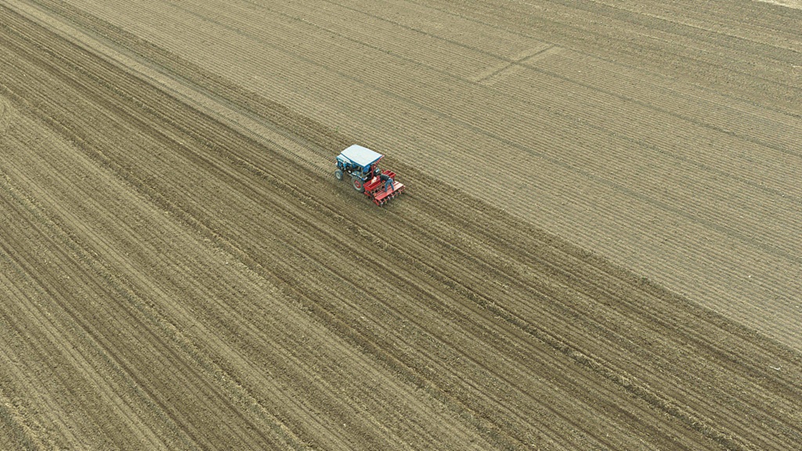 山东聊城：农民加快推进冬小麦播种