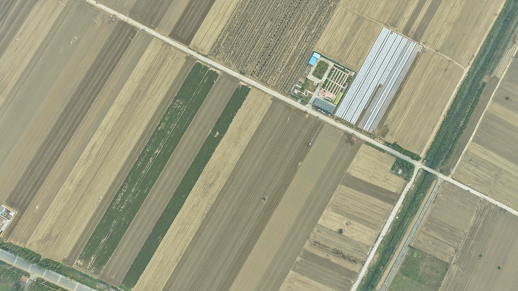 山东聊城：农民加快推进冬小麦播种