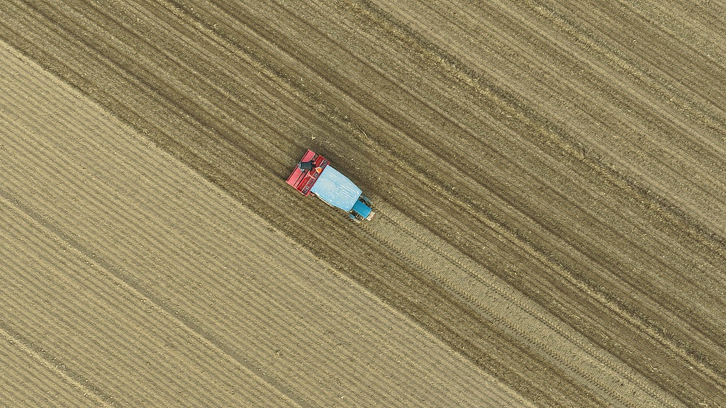 山东聊城：农民加快推进冬小麦播种