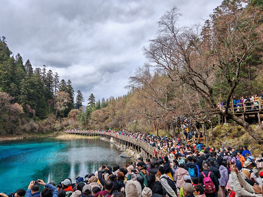 四川阿坝州：九寨沟迎彩林最佳观赏期
