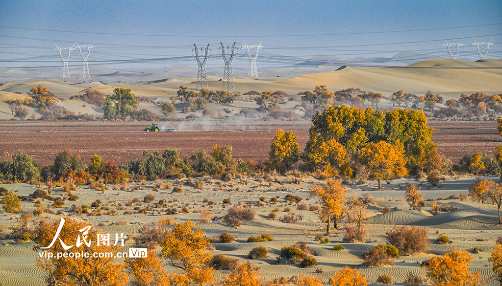 新疆生产建设兵团：筑起生态安全屏障