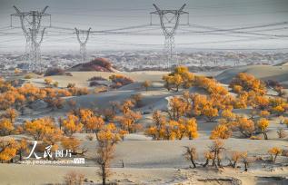 新疆生产建设兵团：筑起生态安全屏障