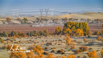 新疆生产建设兵团：筑起生态安全屏障