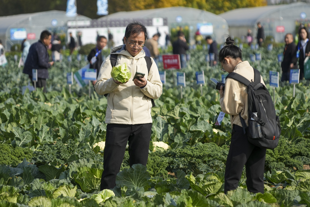 第七届郑州种业博览会开幕