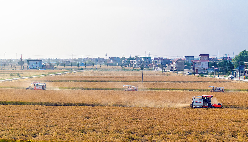 江苏南通：村民驾驶农机收割水稻