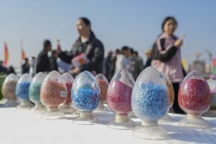 第七届郑州种业博览会开幕