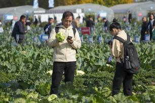 第七届郑州种业博览会开幕