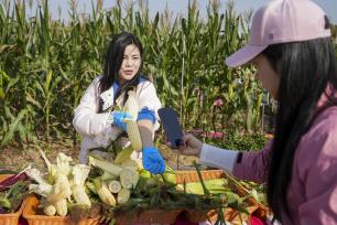 第七届郑州种业博览会开幕