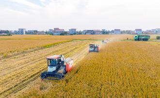 江苏南通：村民驾驶农机收割水稻