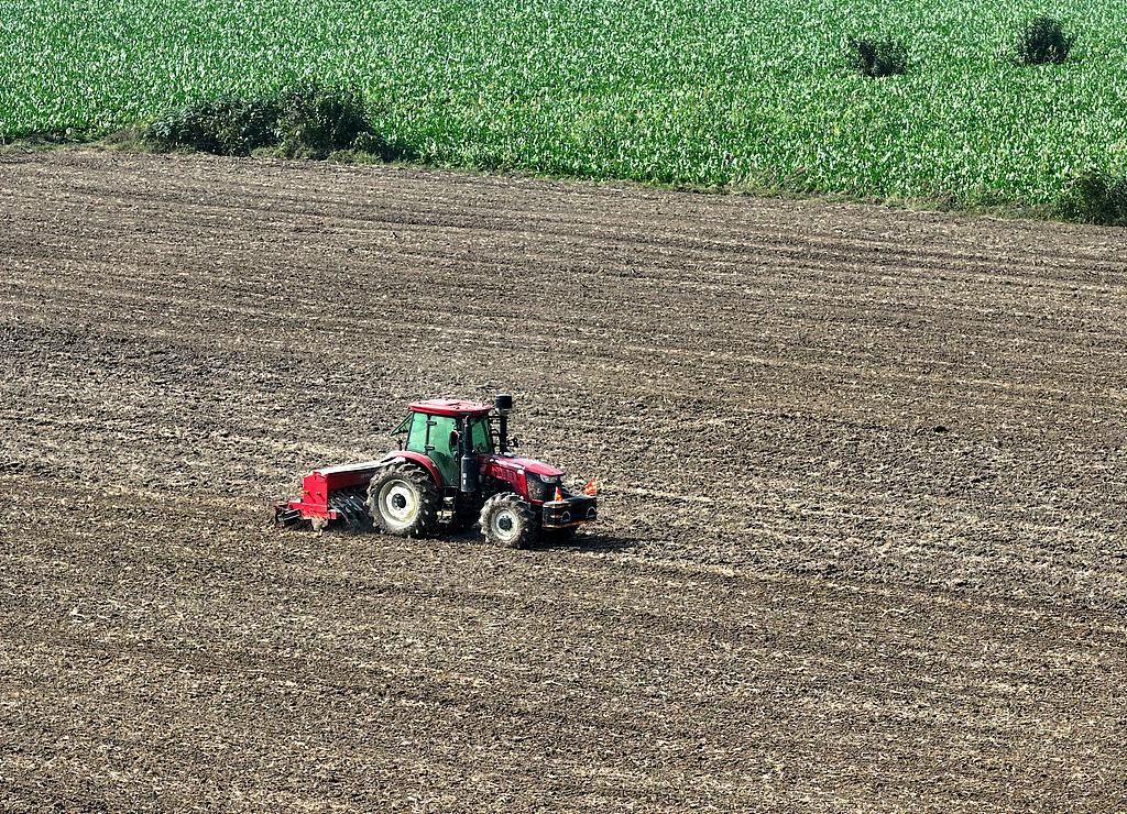 安徽蒙城：大型播种机播种冬小麦
