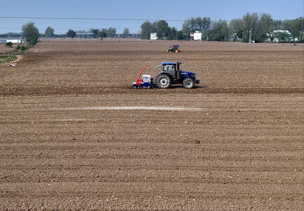 安徽蒙城：大型播种机播种冬小麦