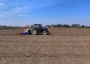 安徽蒙城：大型播种机播种冬小麦