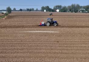 安徽蒙城：大型播种机播种冬小麦