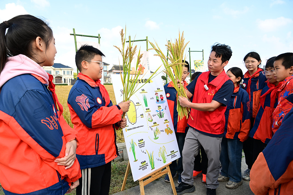 江苏太仓：小学生稻田研学体验农耕