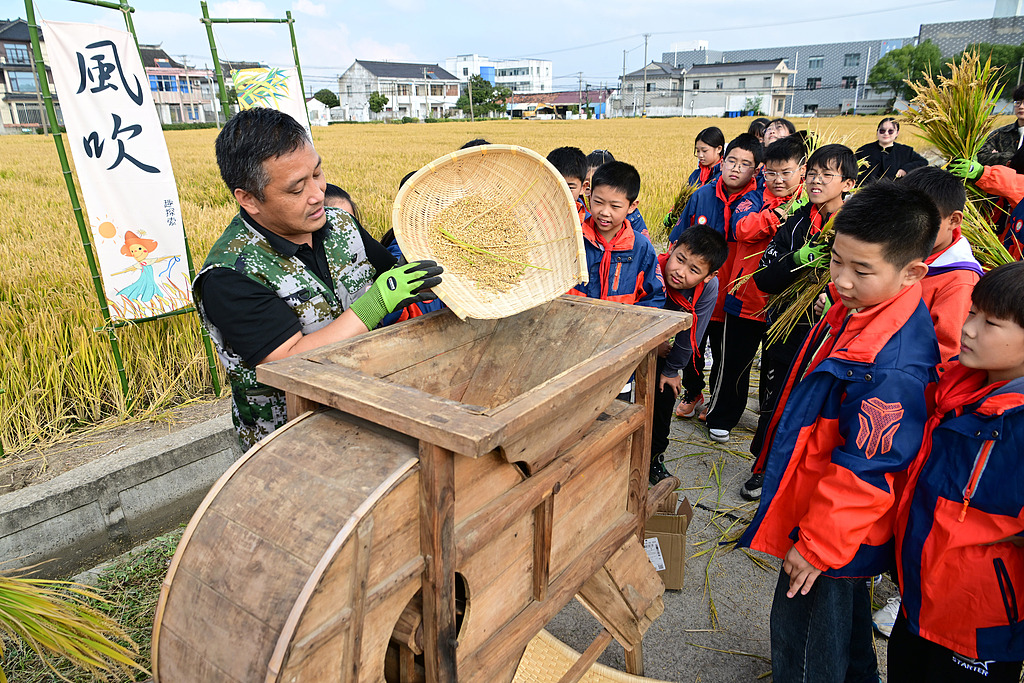 江苏太仓：小学生稻田研学体验农耕