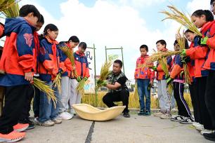 江苏太仓：小学生稻田研学体验农耕