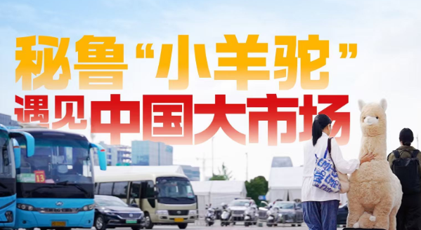 进博之约丨秘鲁“小羊驼”遇见中国大市场