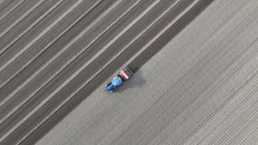 山东东营：村民驾驶农机田间播种冬小麦