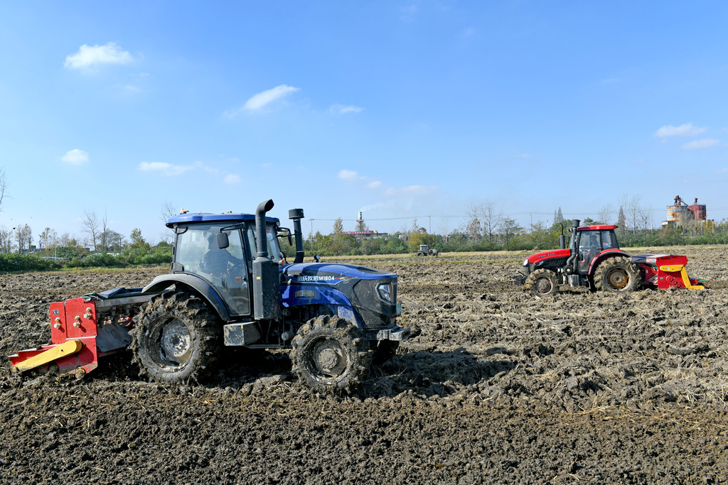 安徽淮南：农技人员推广良种良技保障冬种