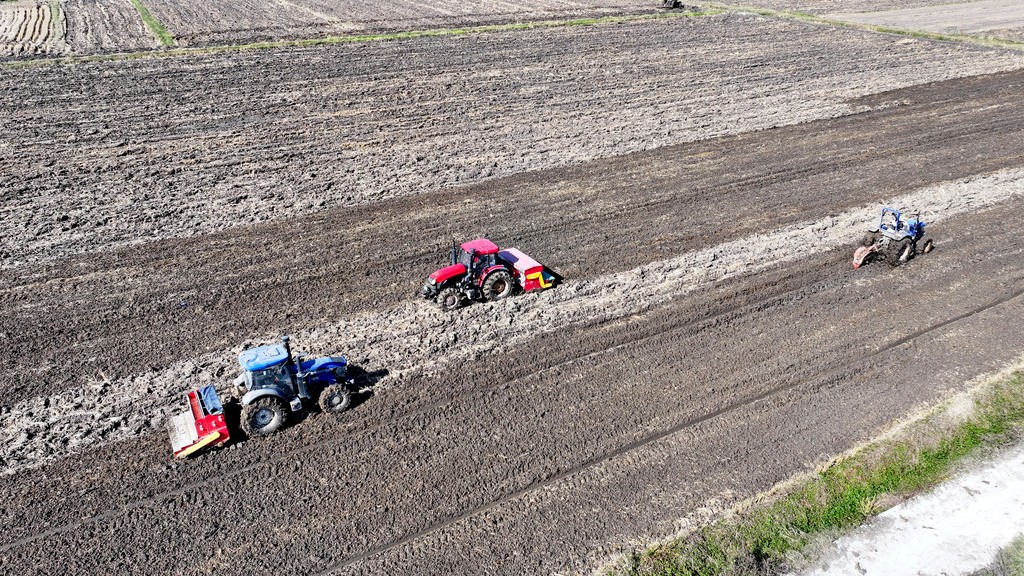 安徽淮南：农技人员推广良种良技保障冬种