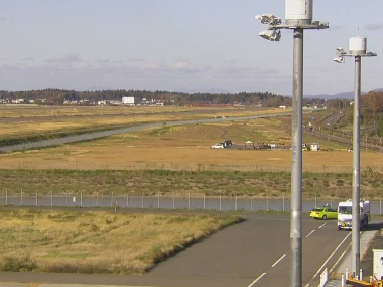 日本岩手县一机场出现野熊 导致航班暂停起降