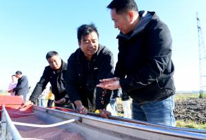 安徽淮南：农技人员推广良种良技保障冬种