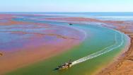 山东东营：滨海湿地色彩艳丽似锦