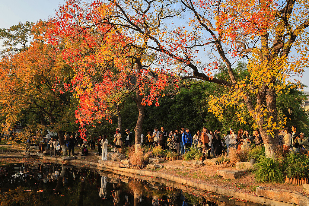 江苏南京：莫愁湖公园色彩斑斓景色如画